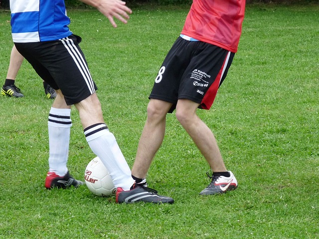 普及和参与 普及和参与