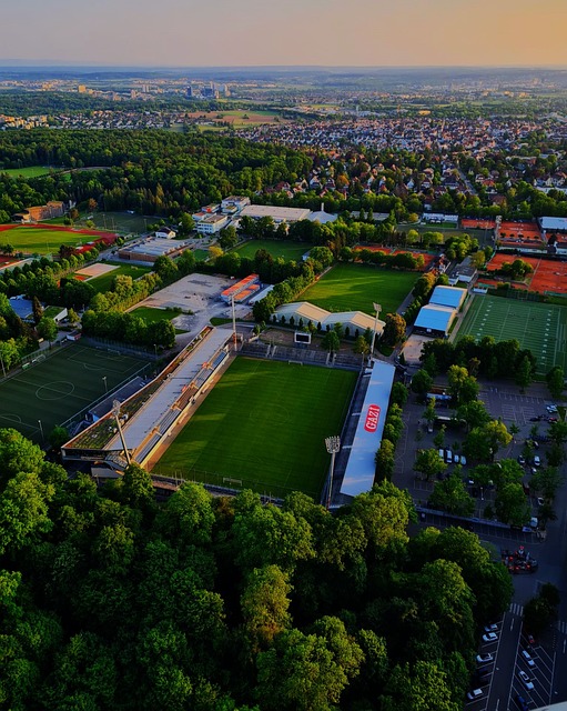 担心新秀将 担心新秀将